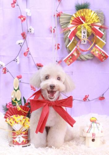 20230131ロンくん